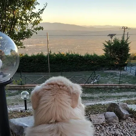 아파트 Costa D'alto Monte