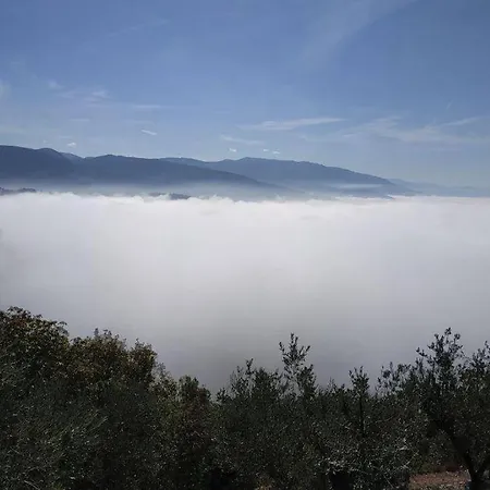 Costa D'alto Monte 아파트
